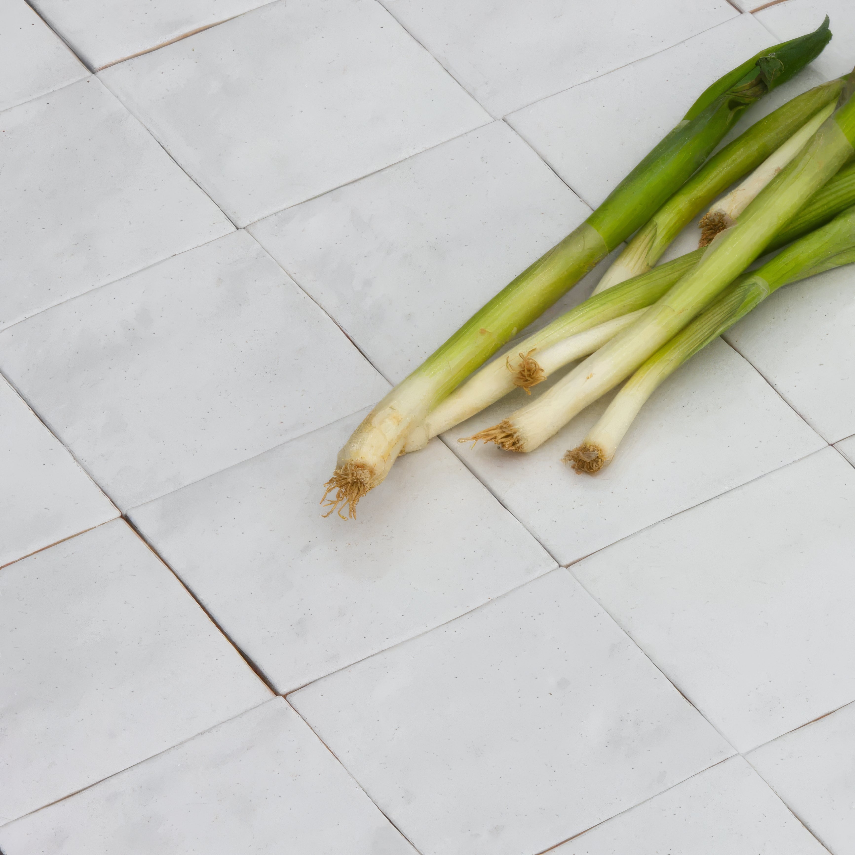 Brighton Stone Ceramic Zellige By Hyperion Tiles