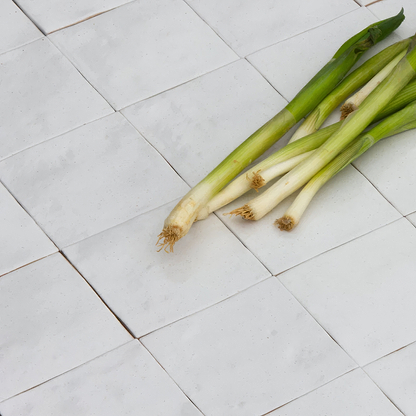Brighton Stone Ceramic Zellige By Hyperion Tiles