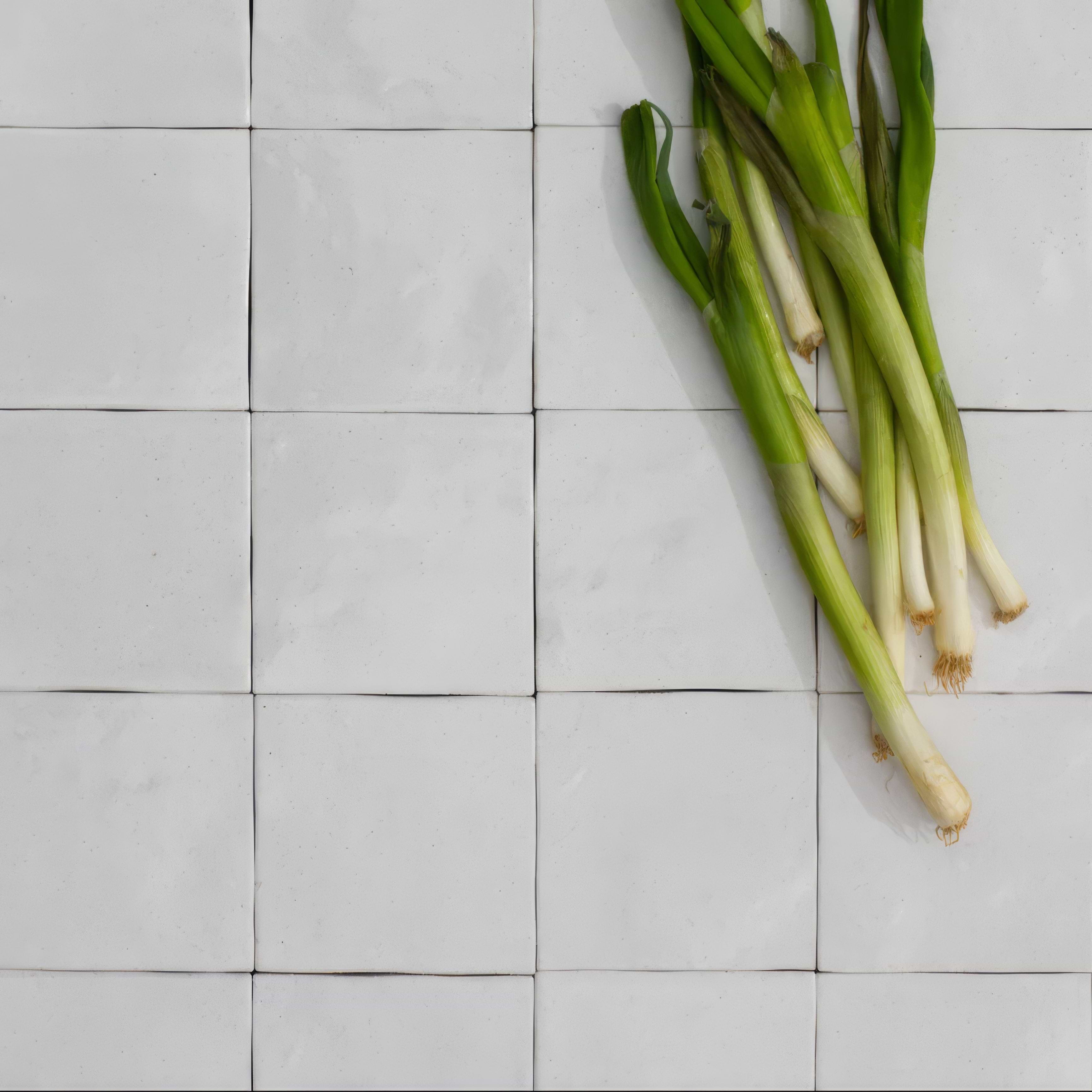 Brighton Stone Ceramic Zellige By Hyperion Tiles