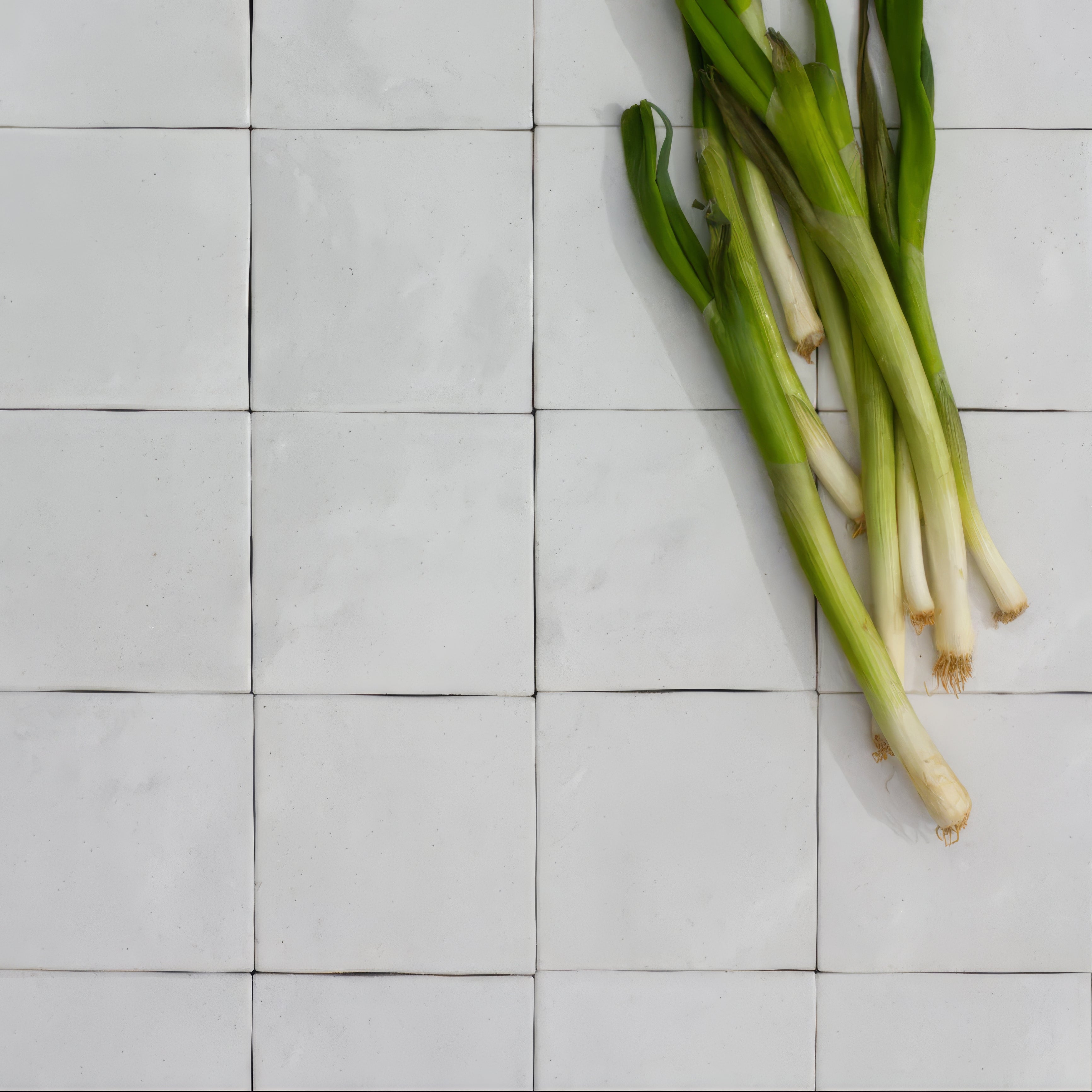 Brighton Stone Ceramic Zellige By Hyperion Tiles