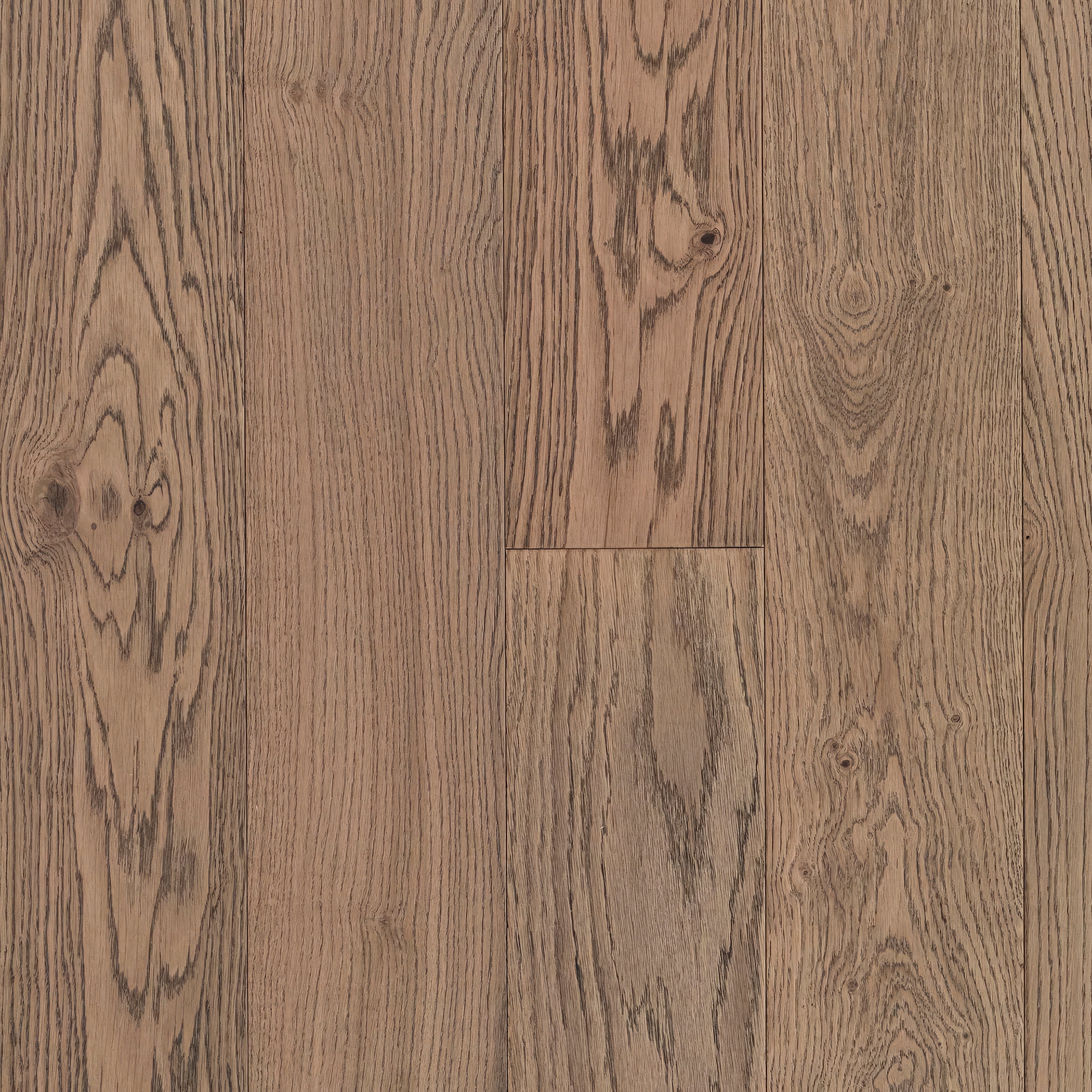 DC101 Deco Frozen Umber - Hyperion Tiles