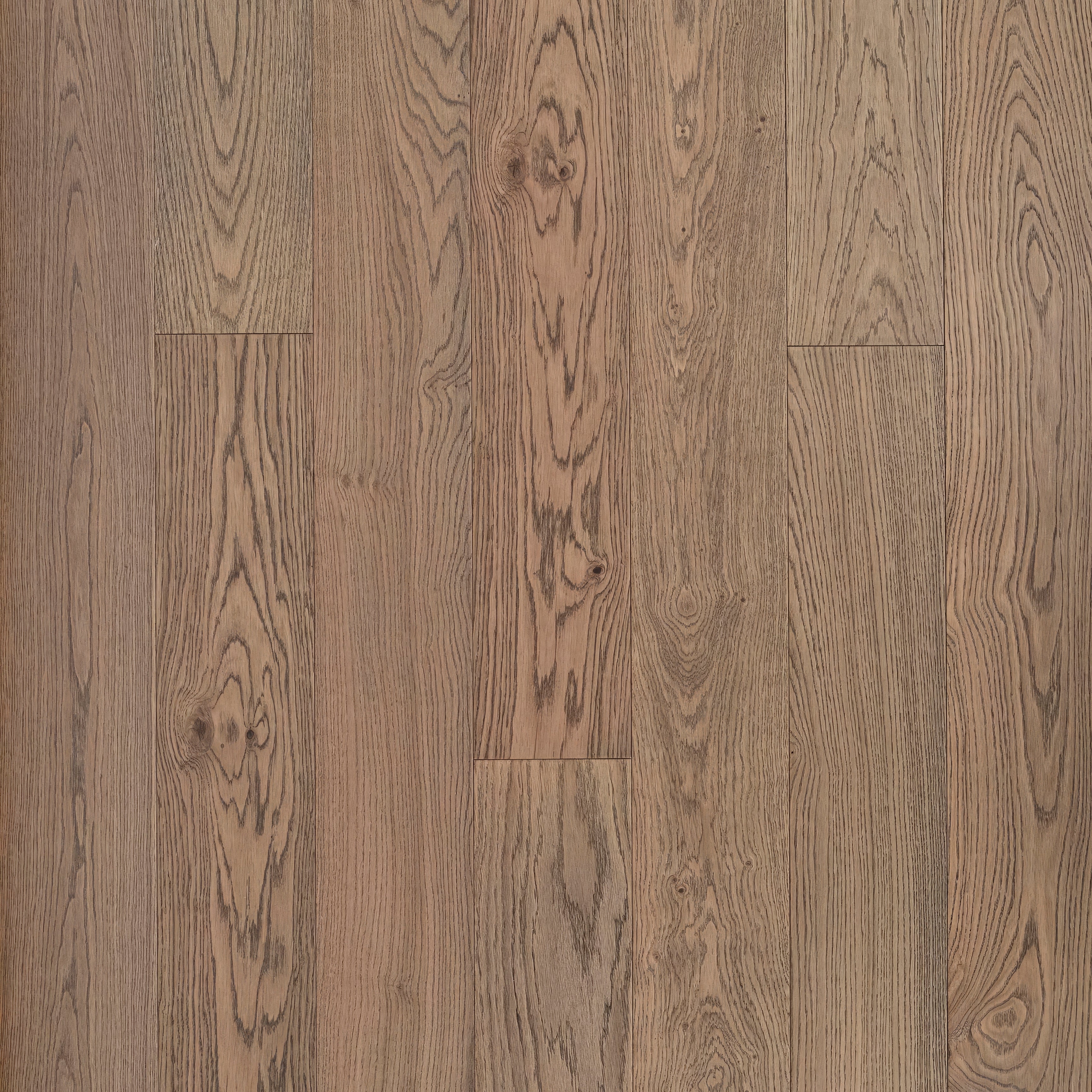 DC101 Deco Frozen Umber - Hyperion Tiles