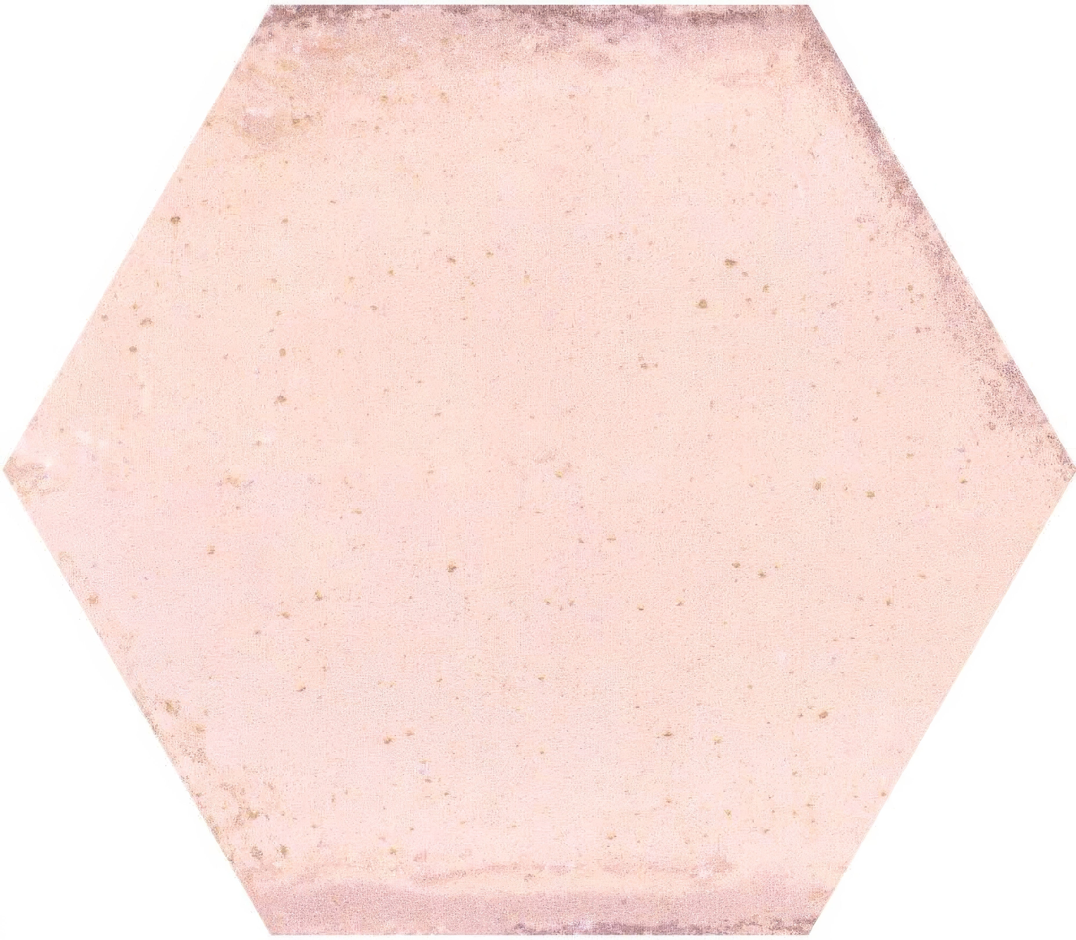 Hope Rose Hexagon Gloss Ceramic Wall