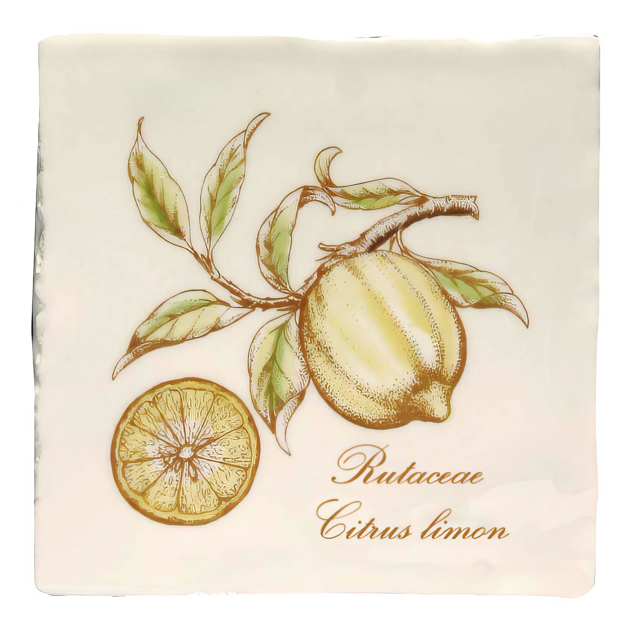 Lemon on Cotton - Hyperion Tiles