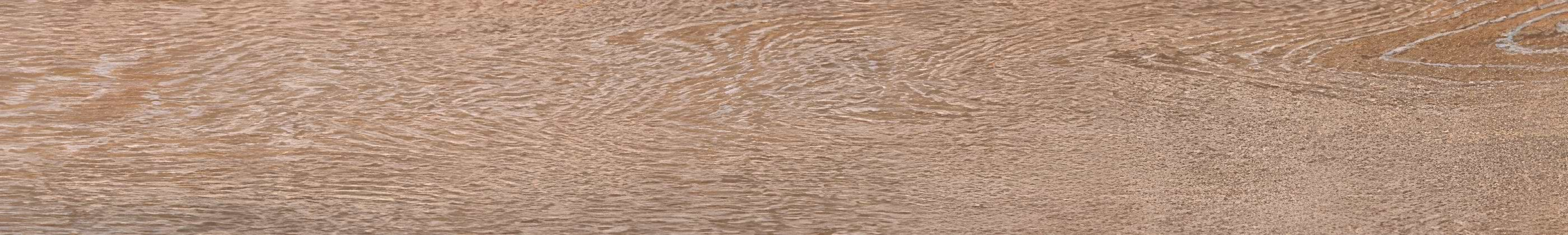 Tree-Charme Beige Matt | Hyperion Tiles