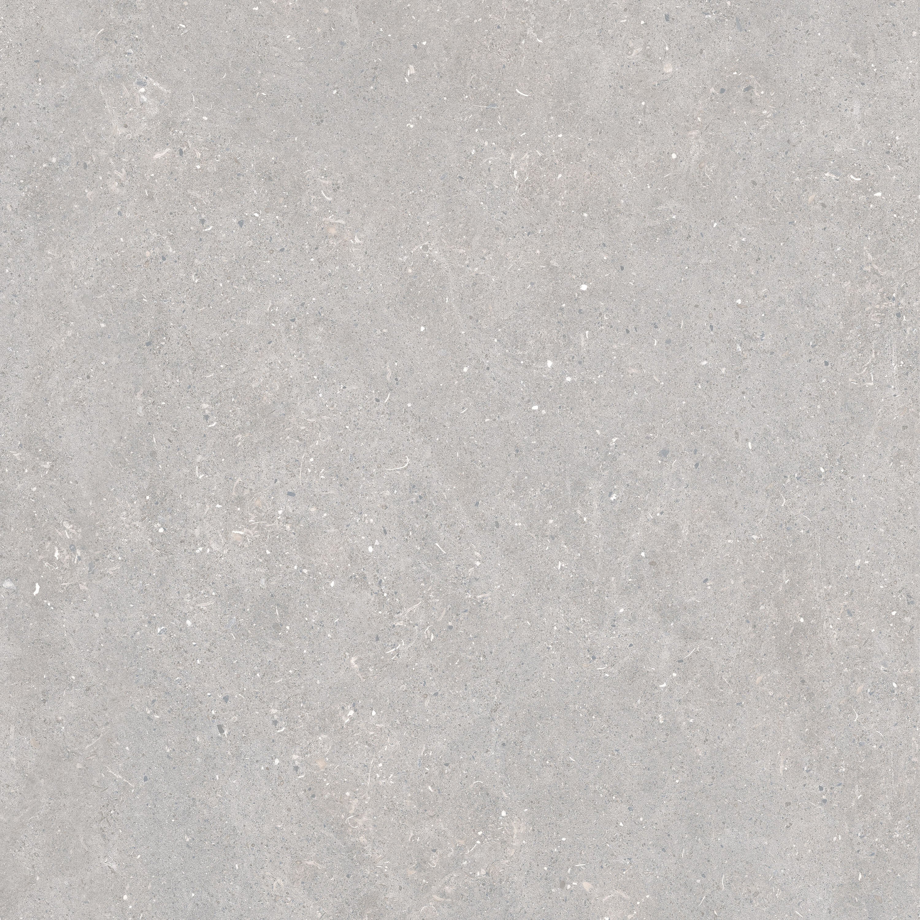 Acorn Pearl 60 x 60cm - Minoli Tiles - Hyperion Tiles