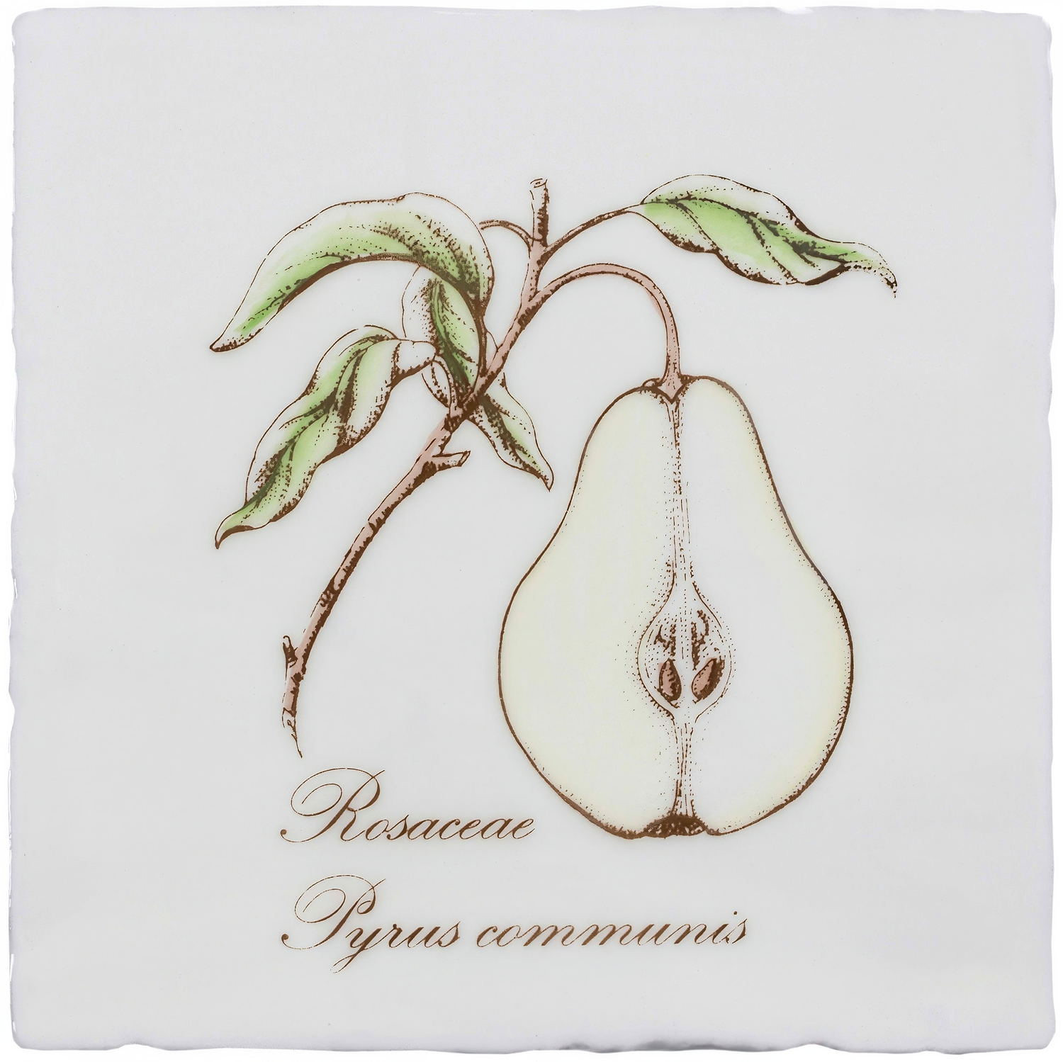 Pear on Cotton - Hyperion Tiles