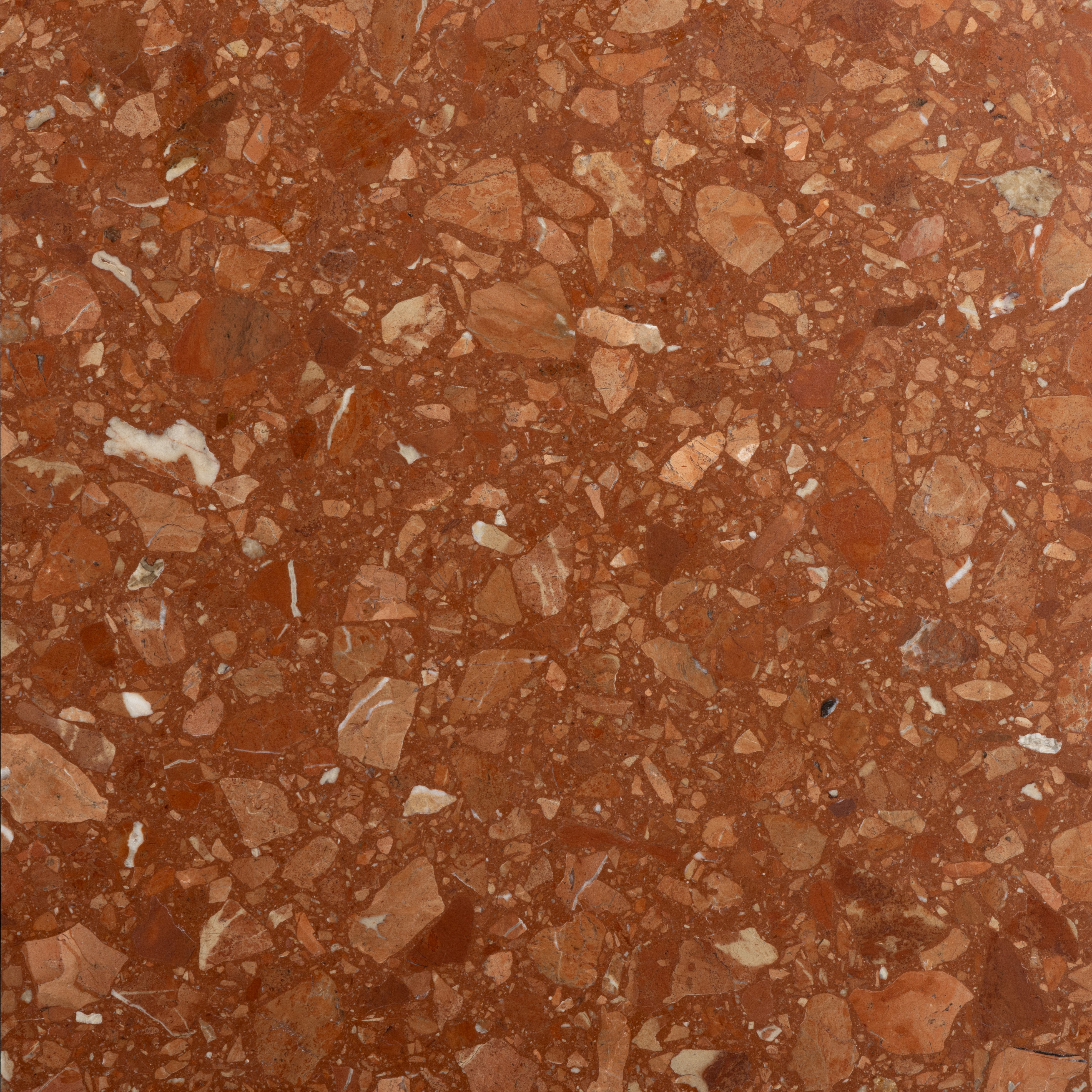 Rialto Terrazzo Santa Croce Honed - Hyperion Tiles