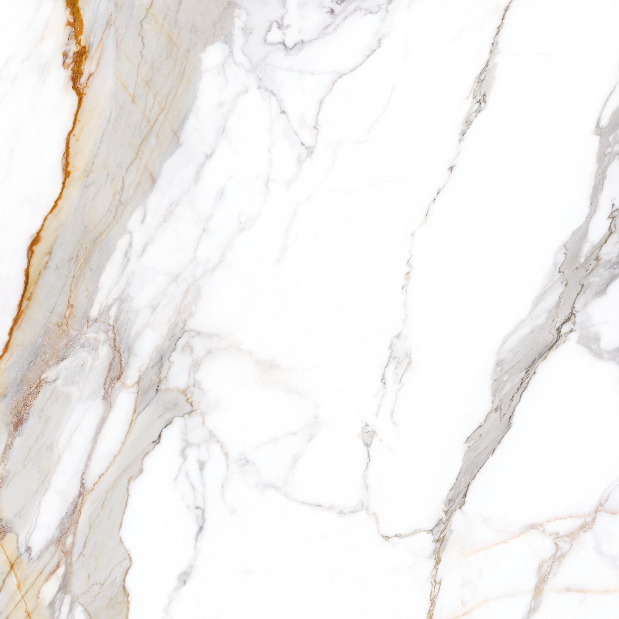 Sculpture Grande Porcelain Calacatta Maximus - Hyperion Tiles