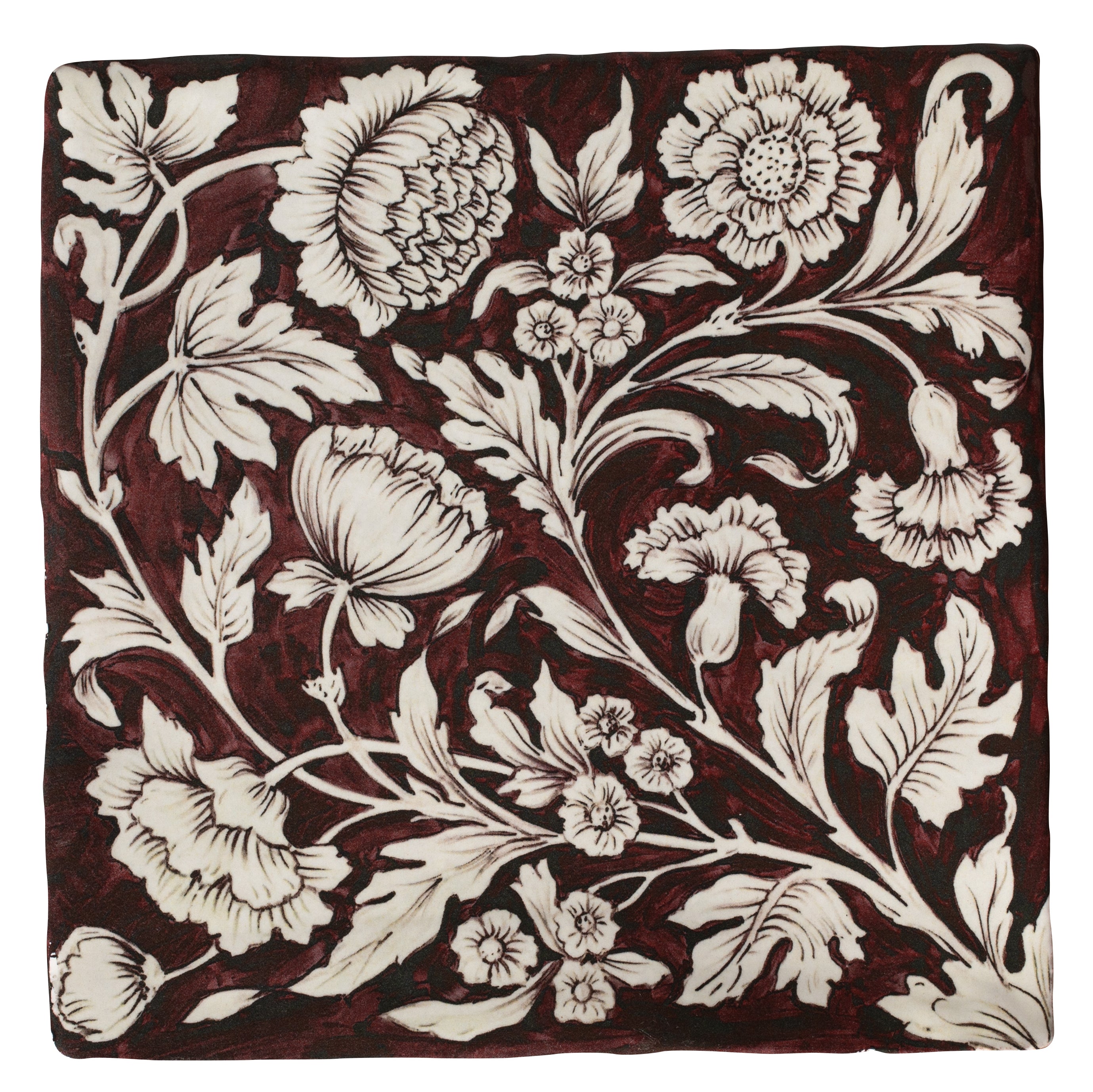 Studio Assisi Red Ceramic - Hyperion Tiles