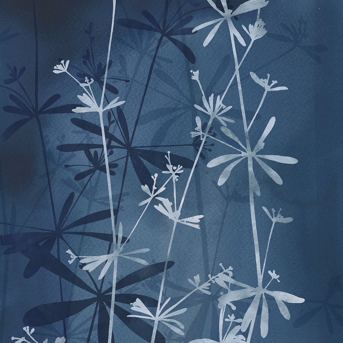 Wild Botanicals Porcelain Blue By Clarissa Hulse - Hyperion Tiles