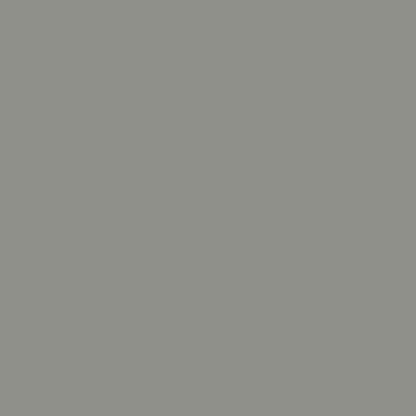 Amber Gris | Wall & Ceiling Paint | Hyperion Tiles