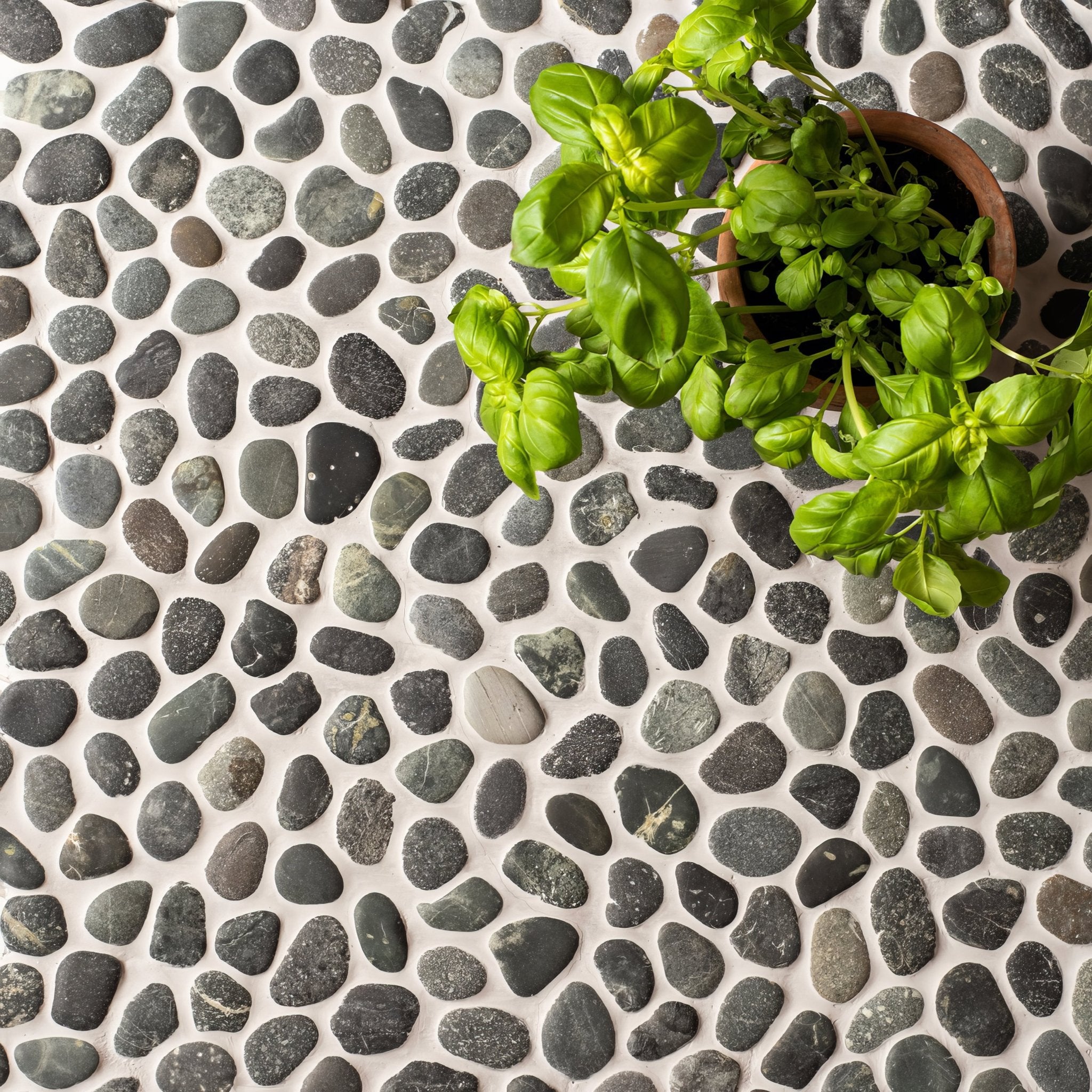 Bora Bora Pebble Mosaic - Hyperion Tiles