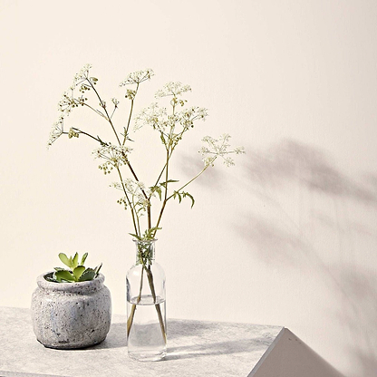 Chalk White - Hyperion Tiles