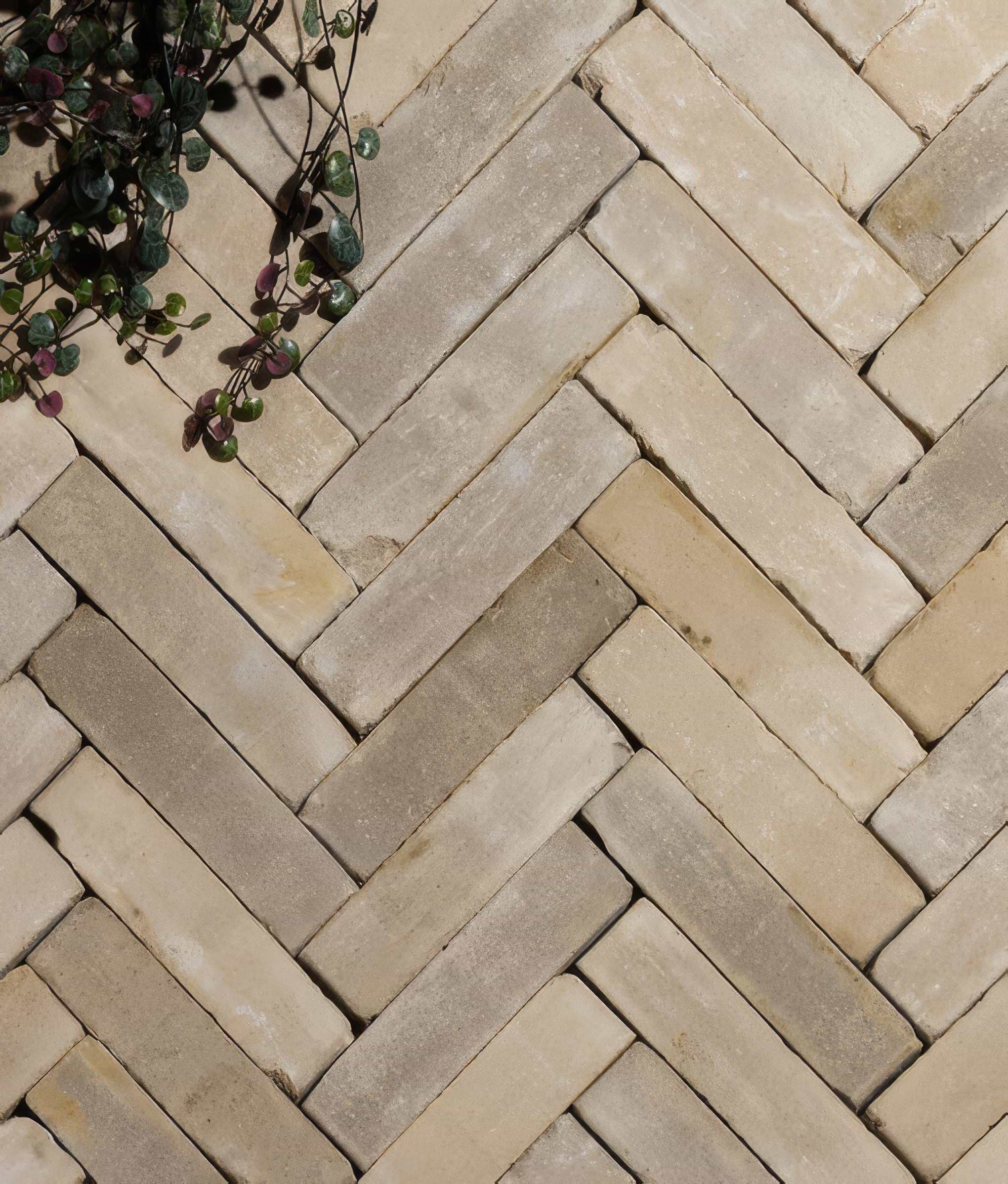 Flanders Buff Tumbled Clay Pavers By Hyperion Tiles