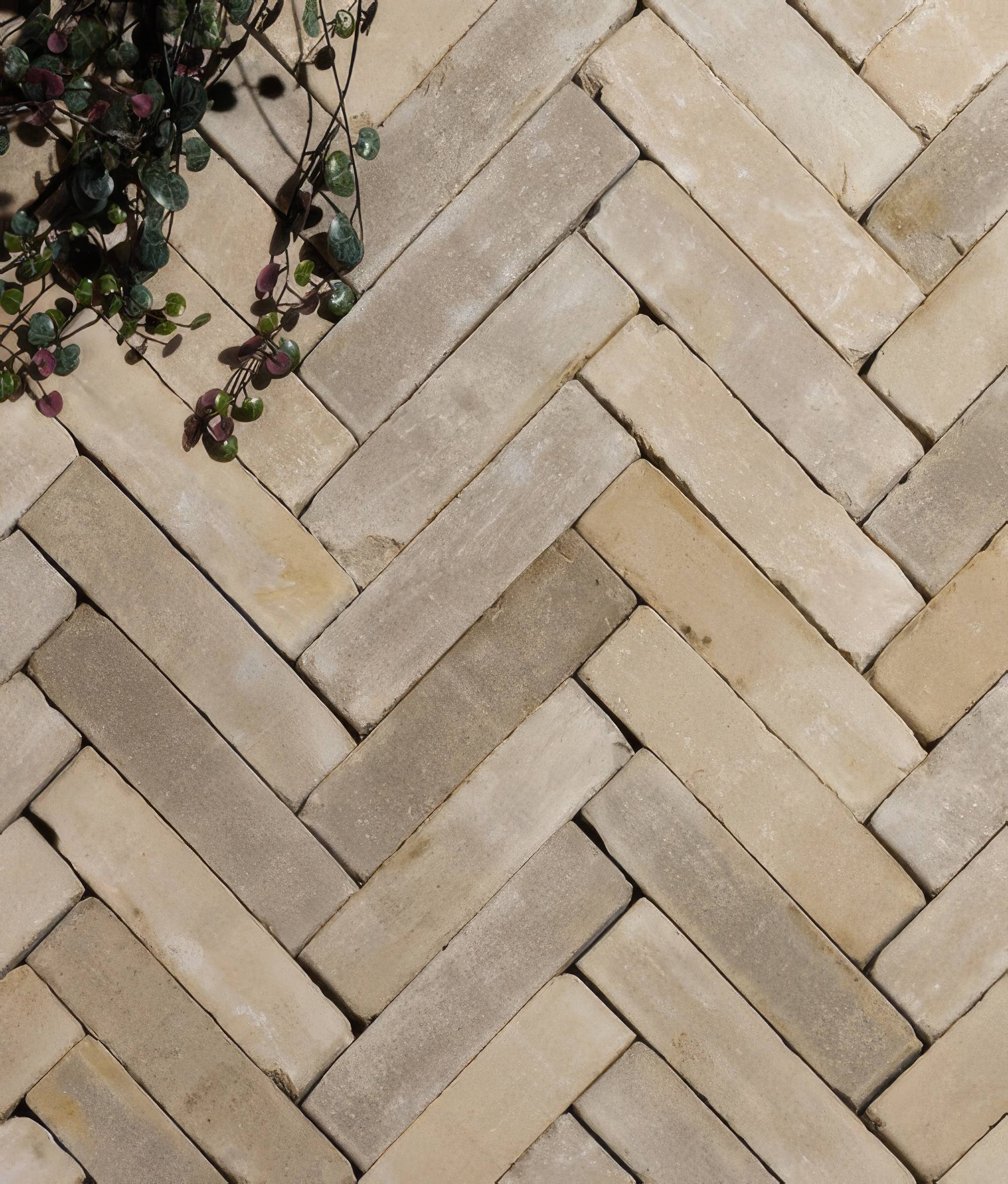 Flanders Buff Tumbled Clay Pavers By Hyperion Tiles