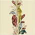 Flower and Foliage Border On Colonial White - Hyperion Tiles