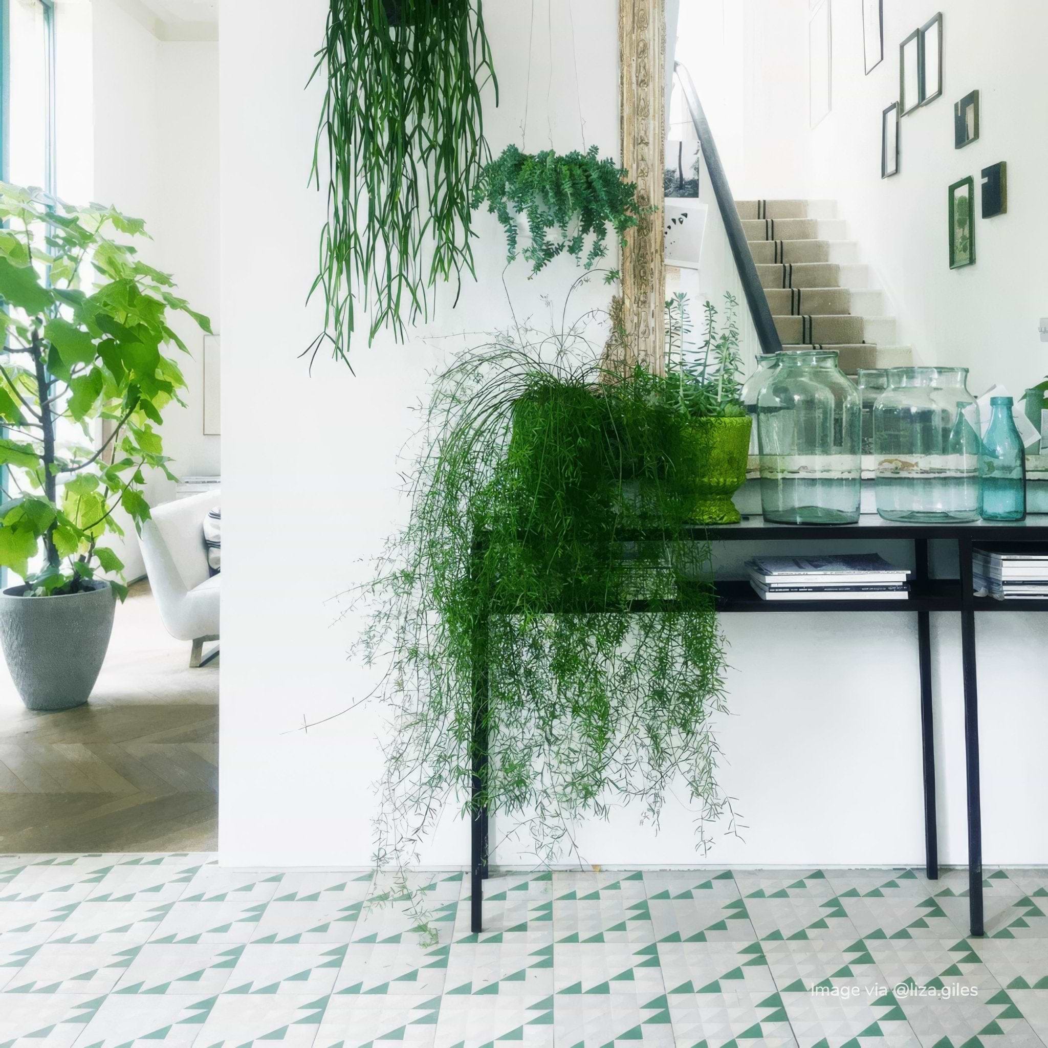 Forest Majadas Tile - Hyperion Tiles