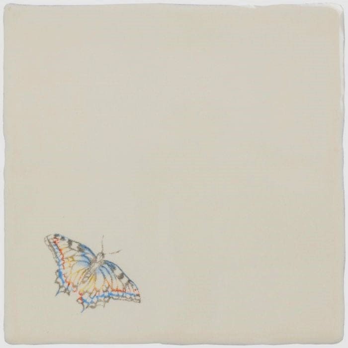 Indigo Swallowtail Pastel on Palomino