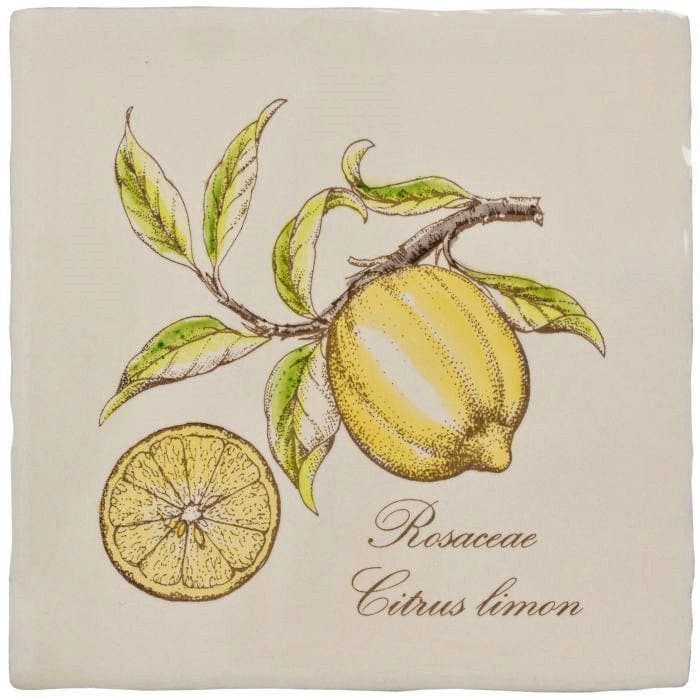 Lemon on Palomino