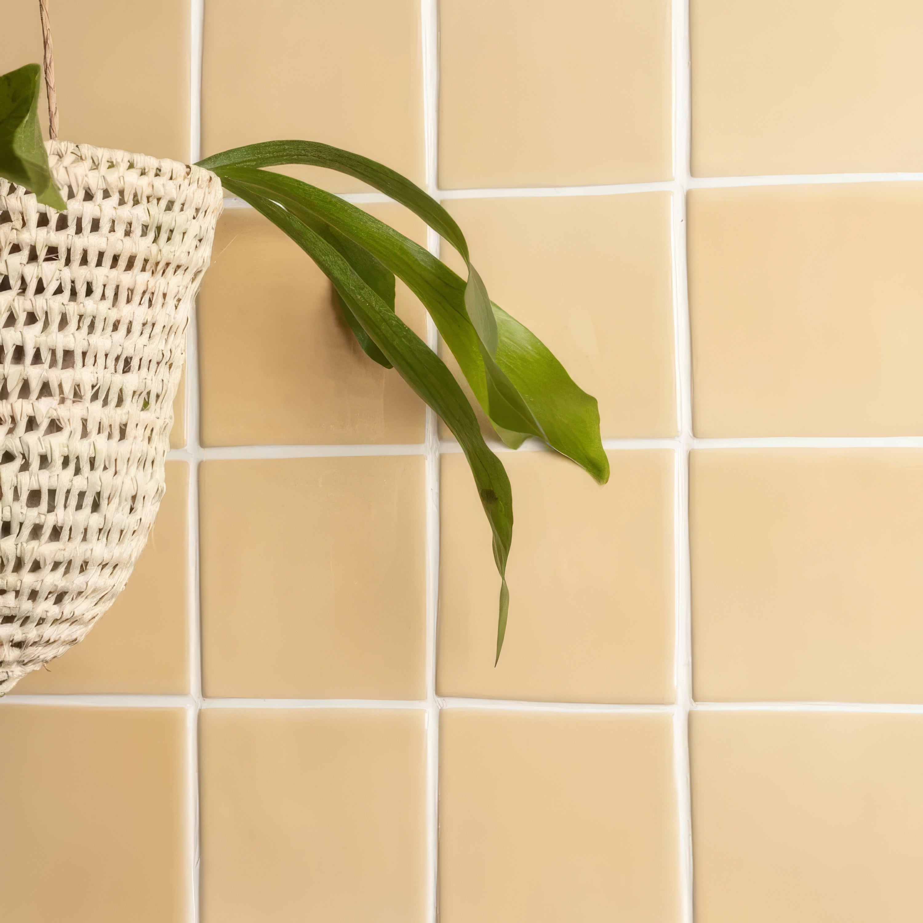 Maize Field Tile | Hyperion Tiles