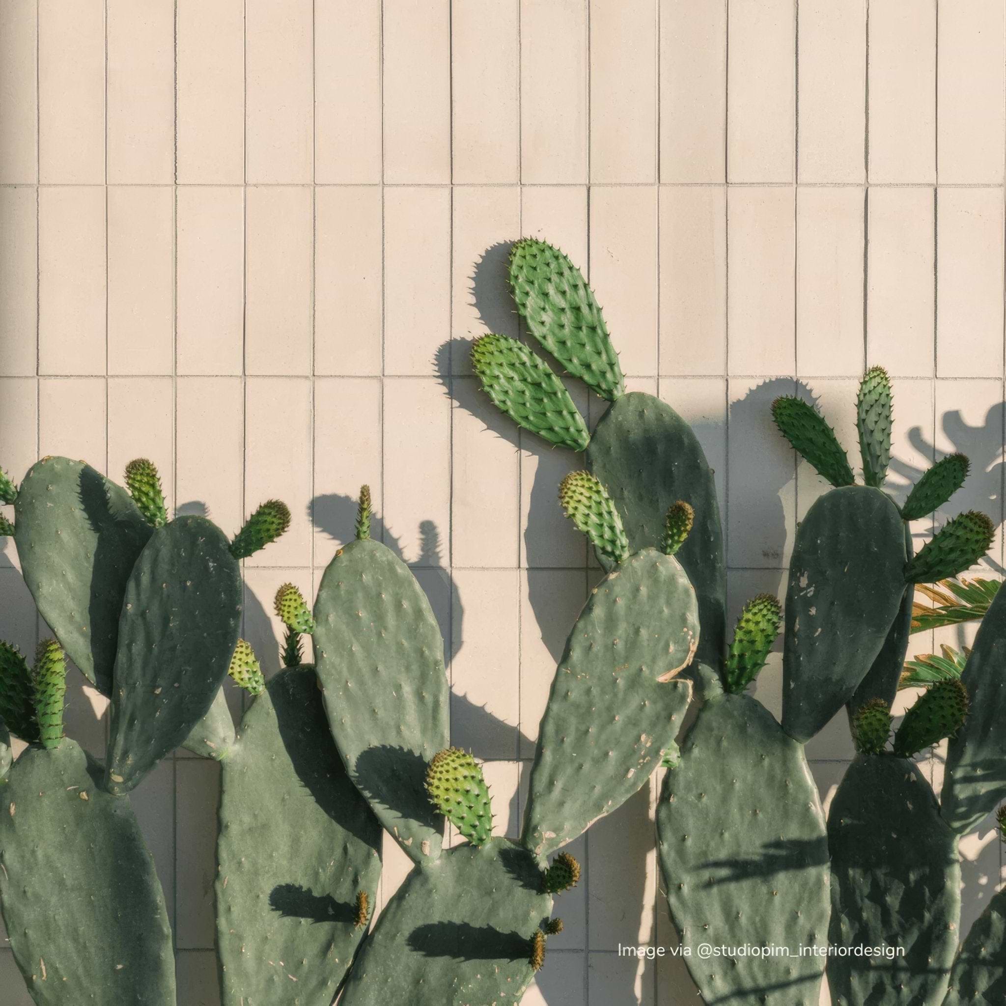 Milk Yellow Herringbone Tile - Hyperion Tiles