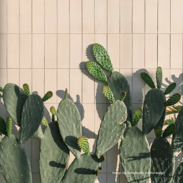 Milk Yellow Herringbone Tile - Hyperion Tiles