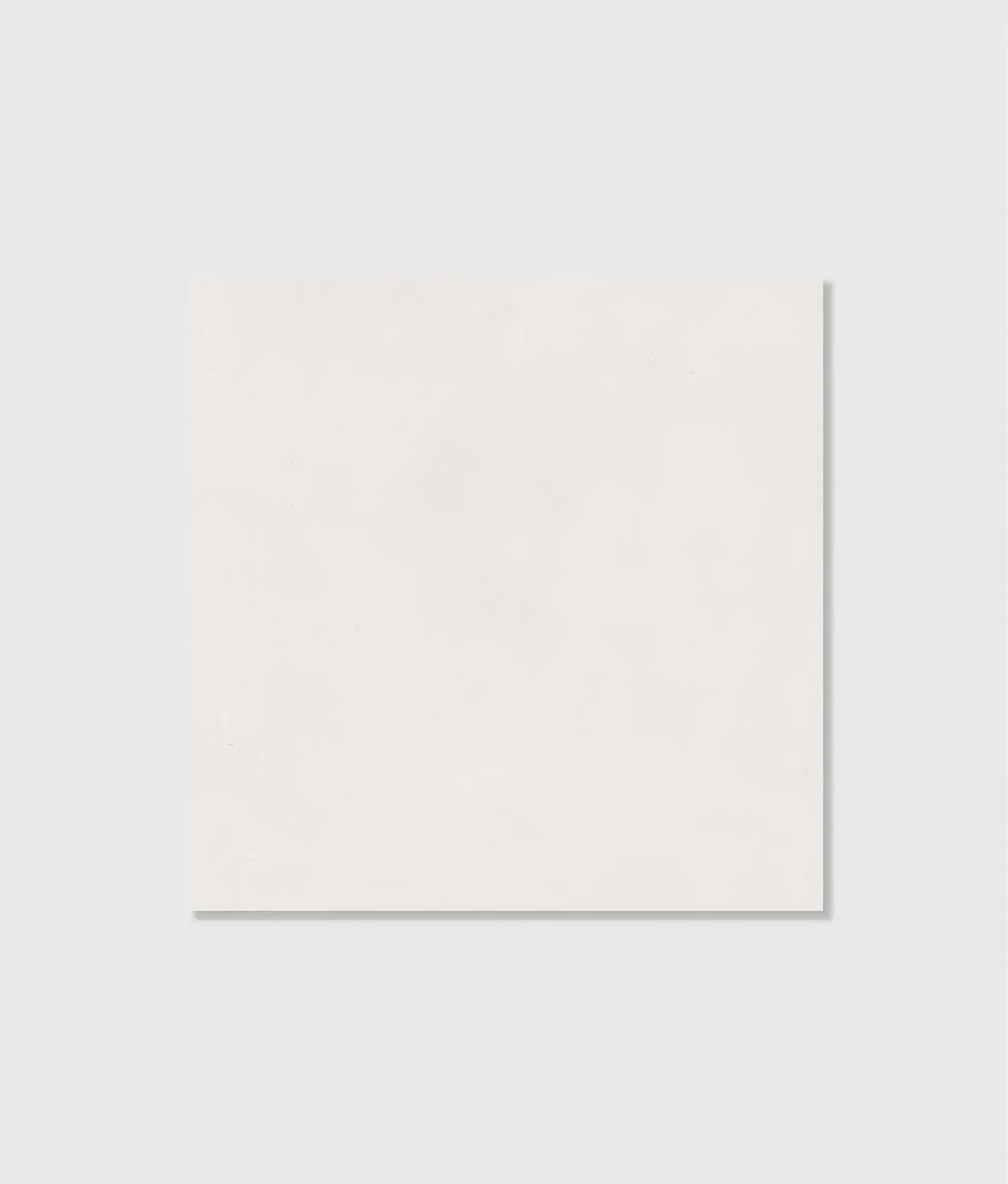 Portare Portare Porcelain Matt 59.5 x 59.5cm | Hyperion Tiles