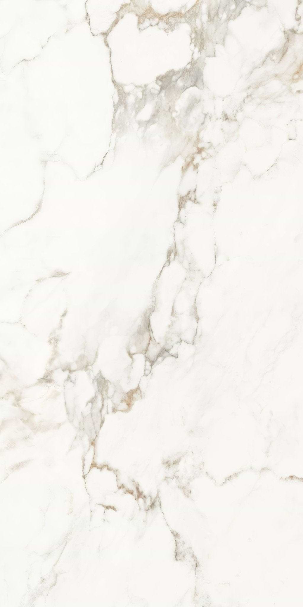 Portare Muscat Porcelain 60 x 120cm - Hyperion Tiles