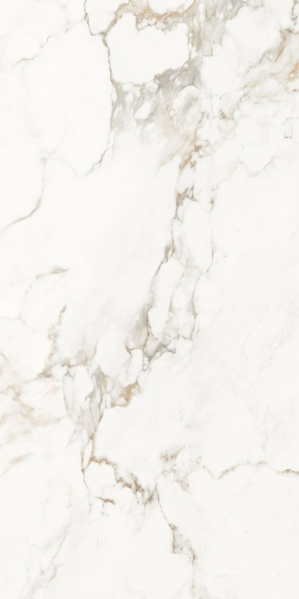 Portare Muscat Porcelain 60 x 120cm - Hyperion Tiles