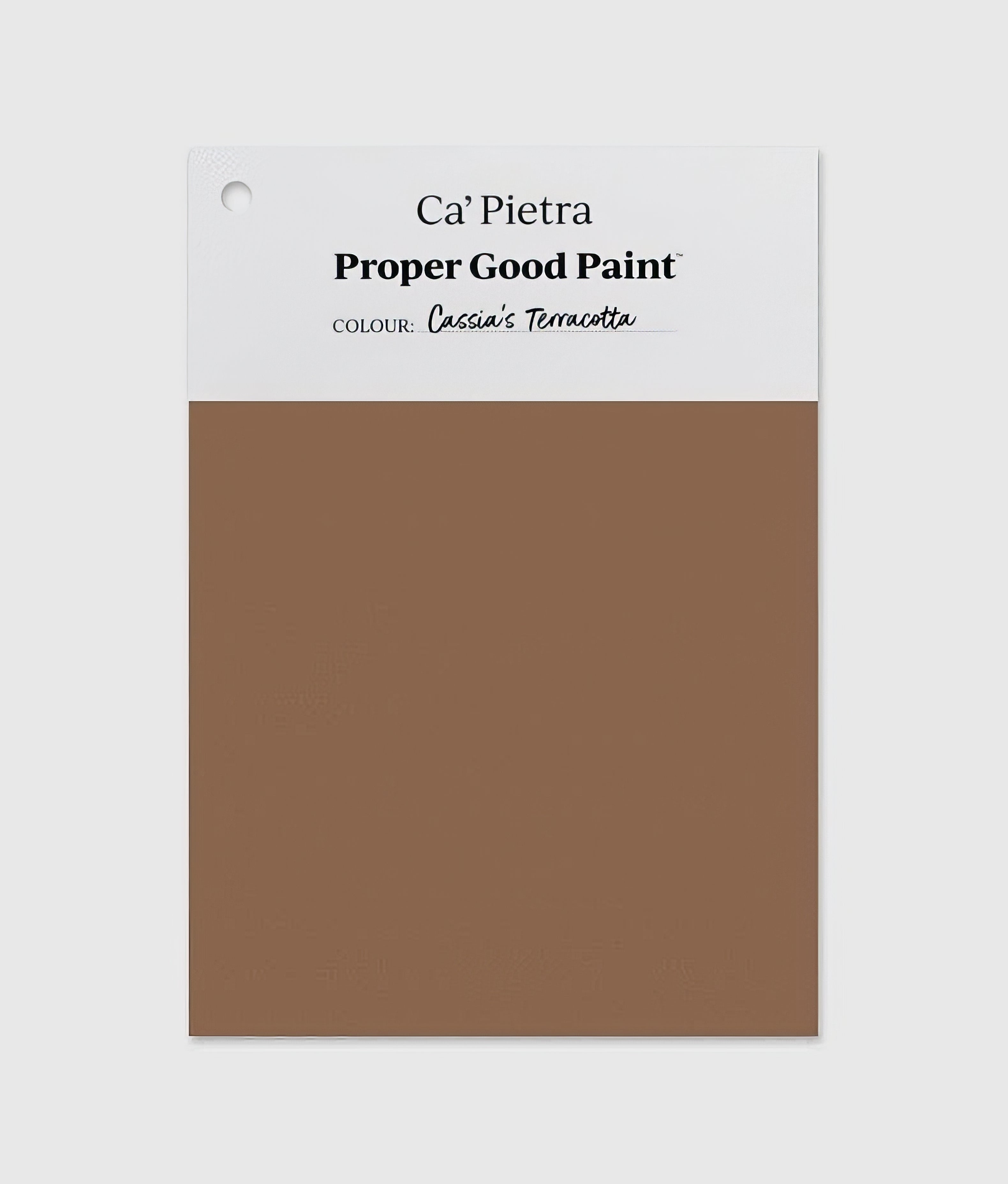 Proper Good Paint™ Cassia’s Terracotta - Hyperion Tiles