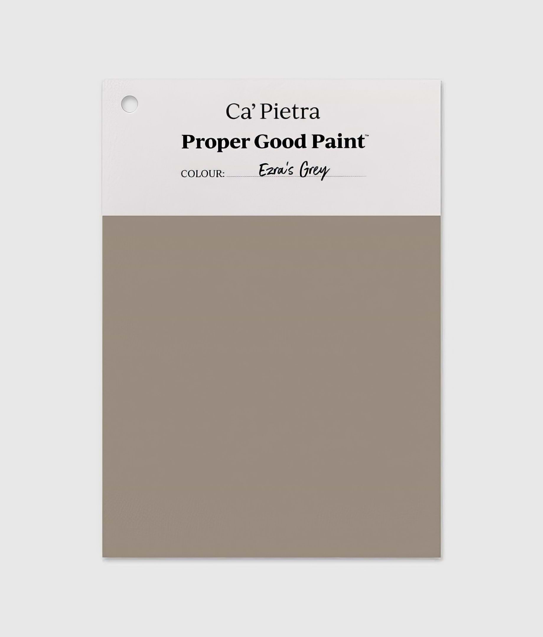 Proper Good Paint™ Ezra’s Grey - Hyperion Tiles