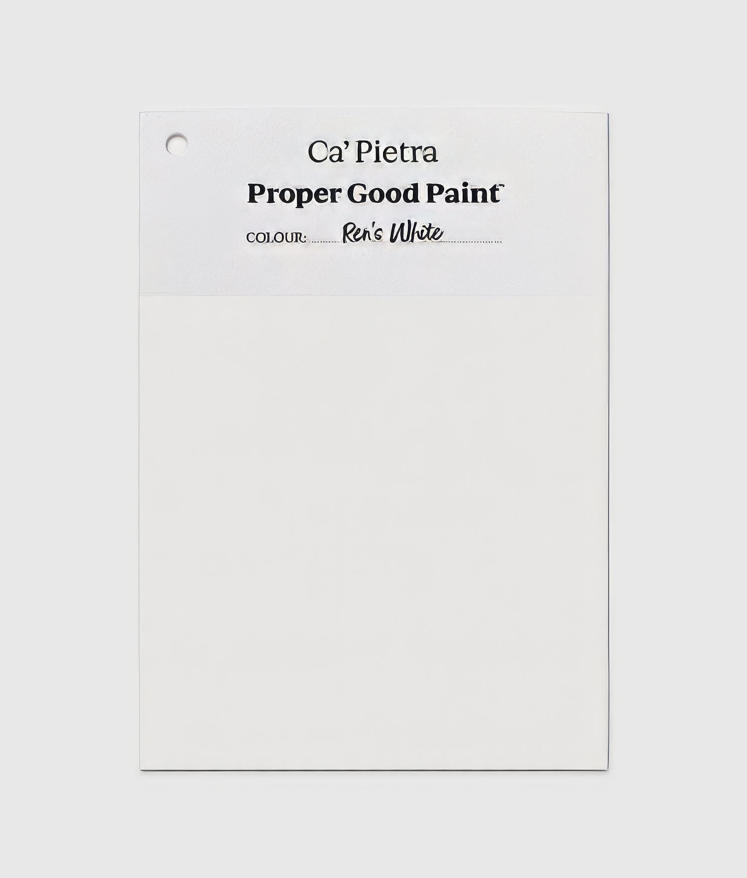 Proper Good Paint™ Ren’s White - Hyperion Tiles
