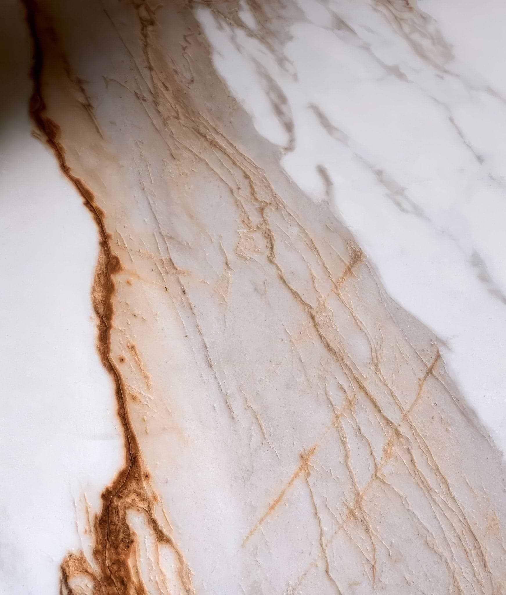 Sculpture Grande Porcelain Calacatta Maximus - Hyperion Tiles