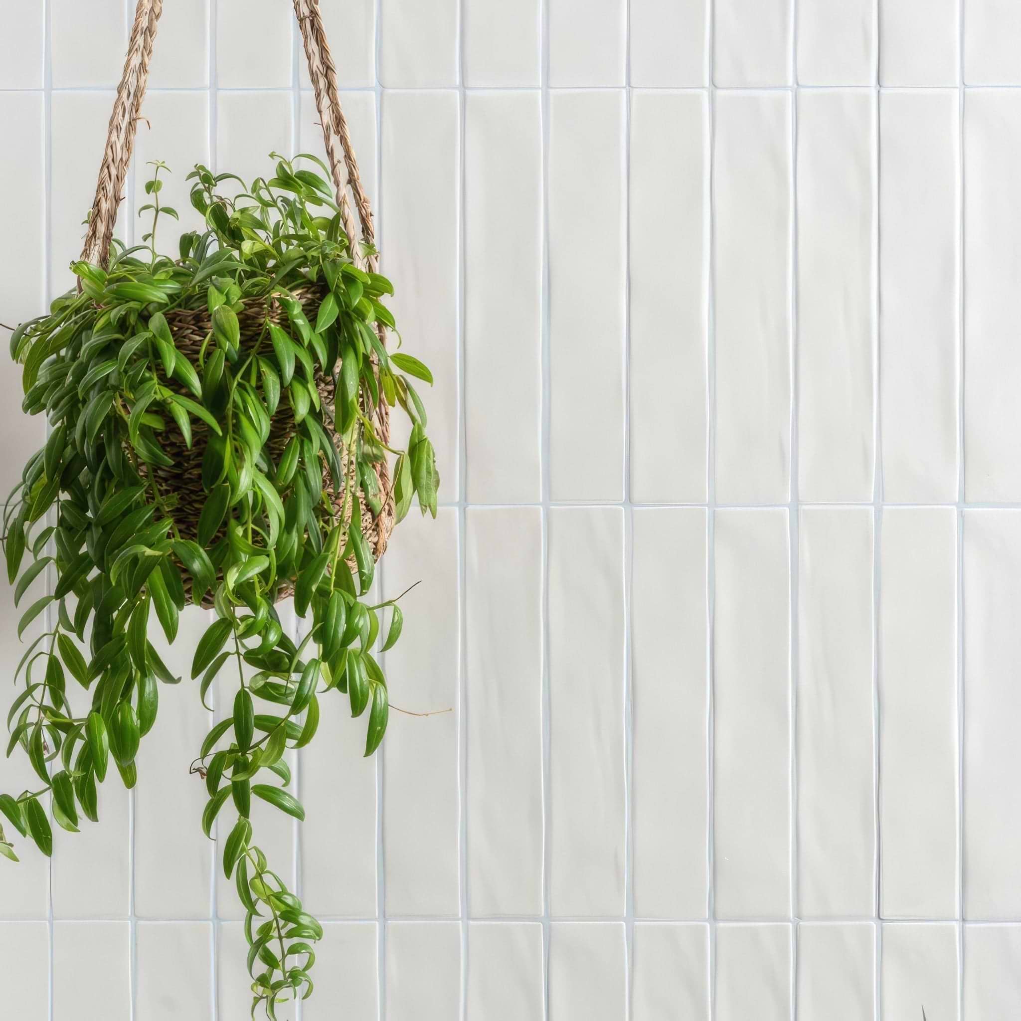 Sherbet White Brick 5x25cm - Hyperion Tiles