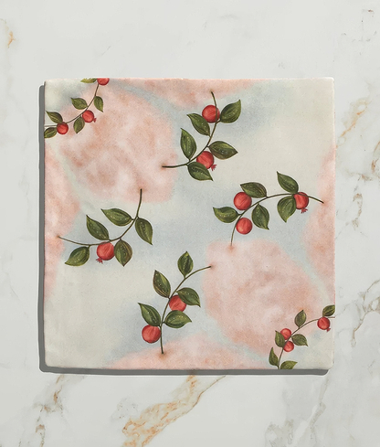 Studio Nonna's Kitchen Nuvola Melograno Ceramic - Hyperion Tiles