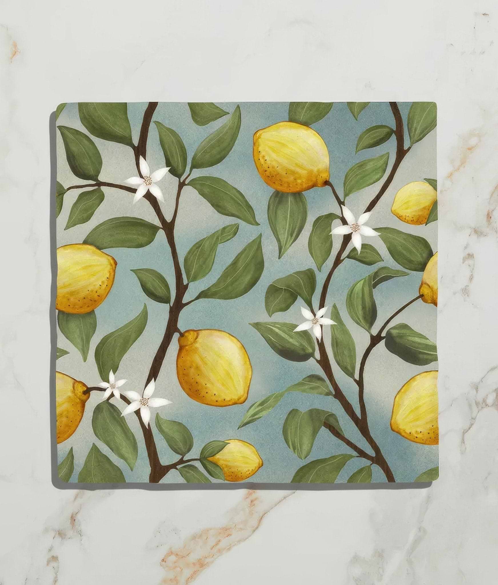 Studio Nonna's Kitchen Sorrento Azzuro Ceramic - Hyperion Tiles