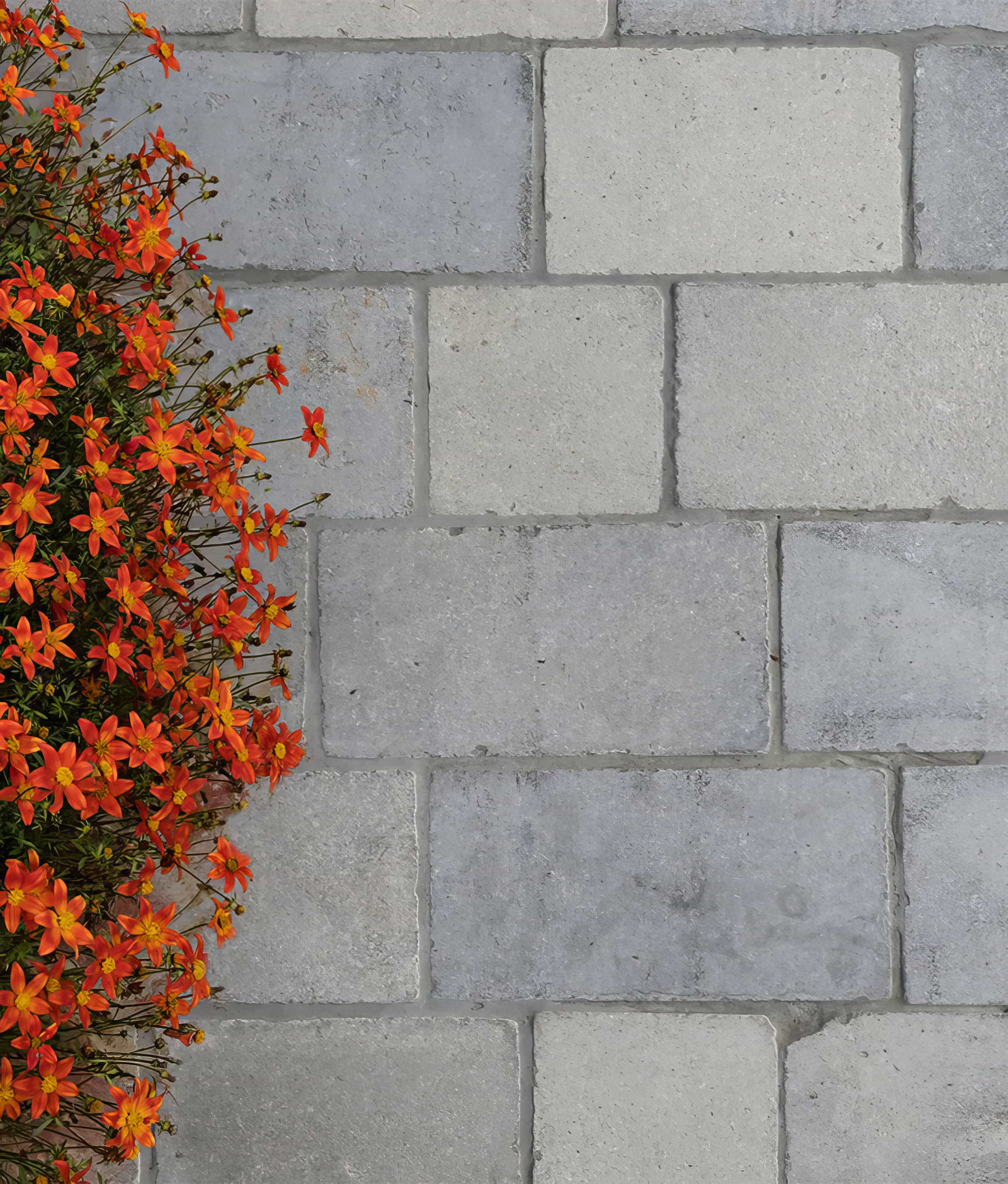 Chaldon Limestone Cobble Tumbled Etched Finish - Hyperion Tiles
