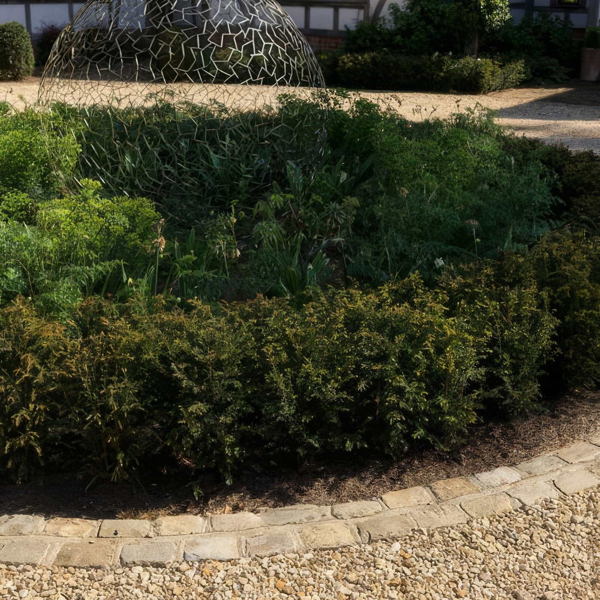 Windsor Sandstone Cobble Reclaimed & Sawn - Hyperion Tiles