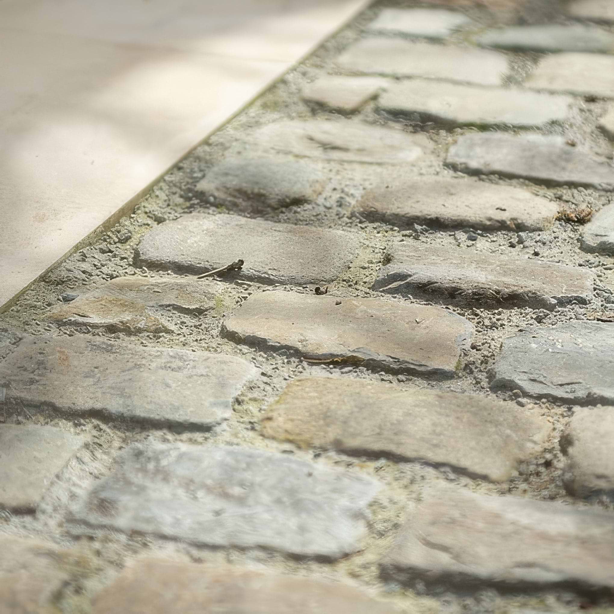 Windsor Sandstone Cobble Reclaimed & Sawn - Hyperion Tiles