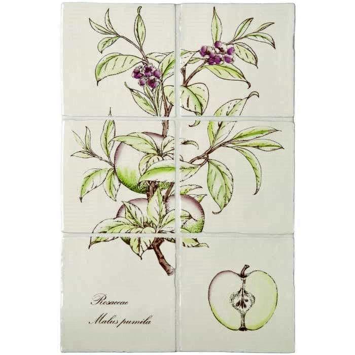Apple 6 tile panel on Palomino - Hyperion Tiles