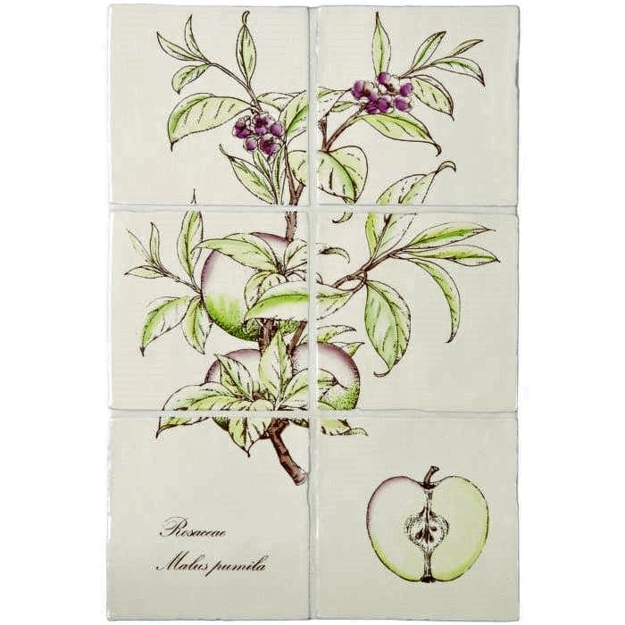 Apple 6 tile panel on Palomino - Hyperion Tiles