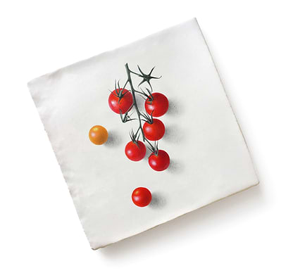 Ca' Pietra Tiles - Ceramic Tomatoes 13 x 13cm Menagerie Ceramic By Michael Angove