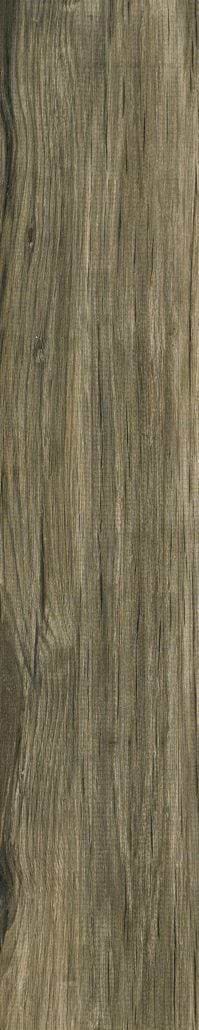 Lignum Taupe Natural Rectified Glazed Porcelain - Hyperion Tiles