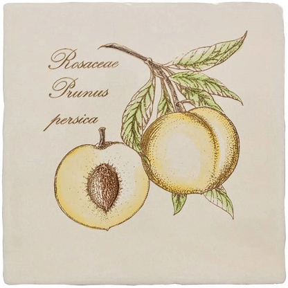 Peach on Palomino - Hyperion Tiles