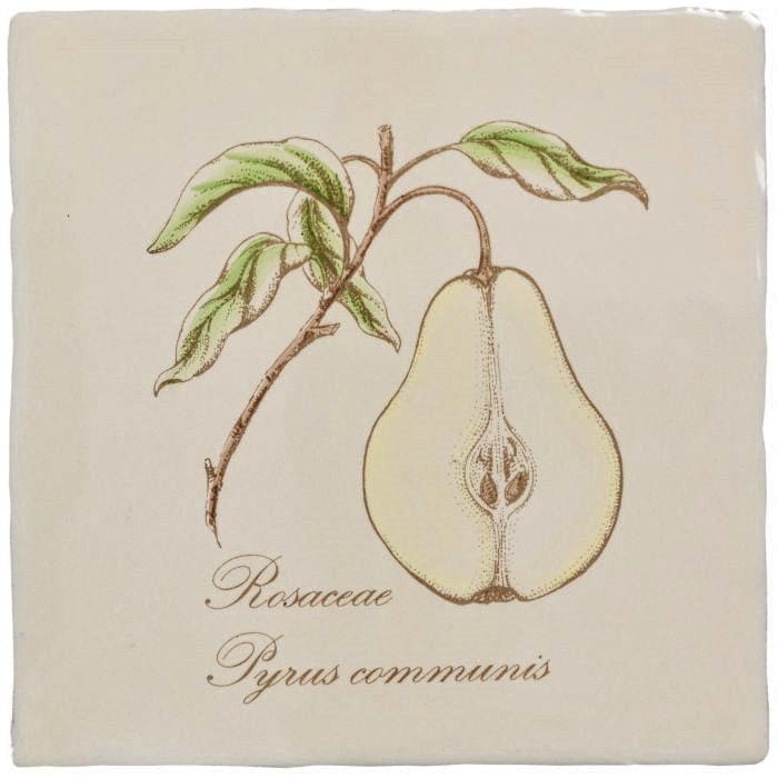 Pear on Palomino - Hyperion Tiles