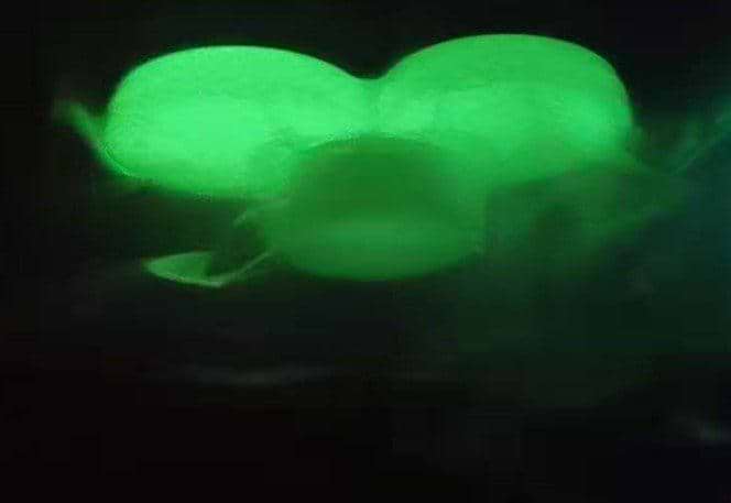 Perflex P30 Luminous Green - Hyperion Tiles