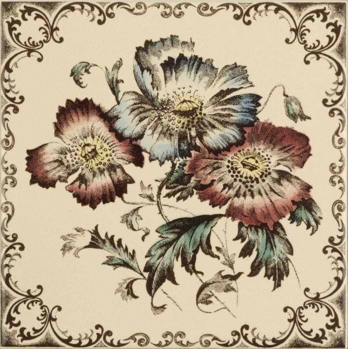 Poppies, Scroll Border Single Tile on Colonial White - Hyperion Tiles