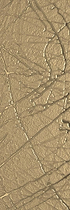 Reflect Midi Sketch 20 x 60cm - Hyperion Tiles