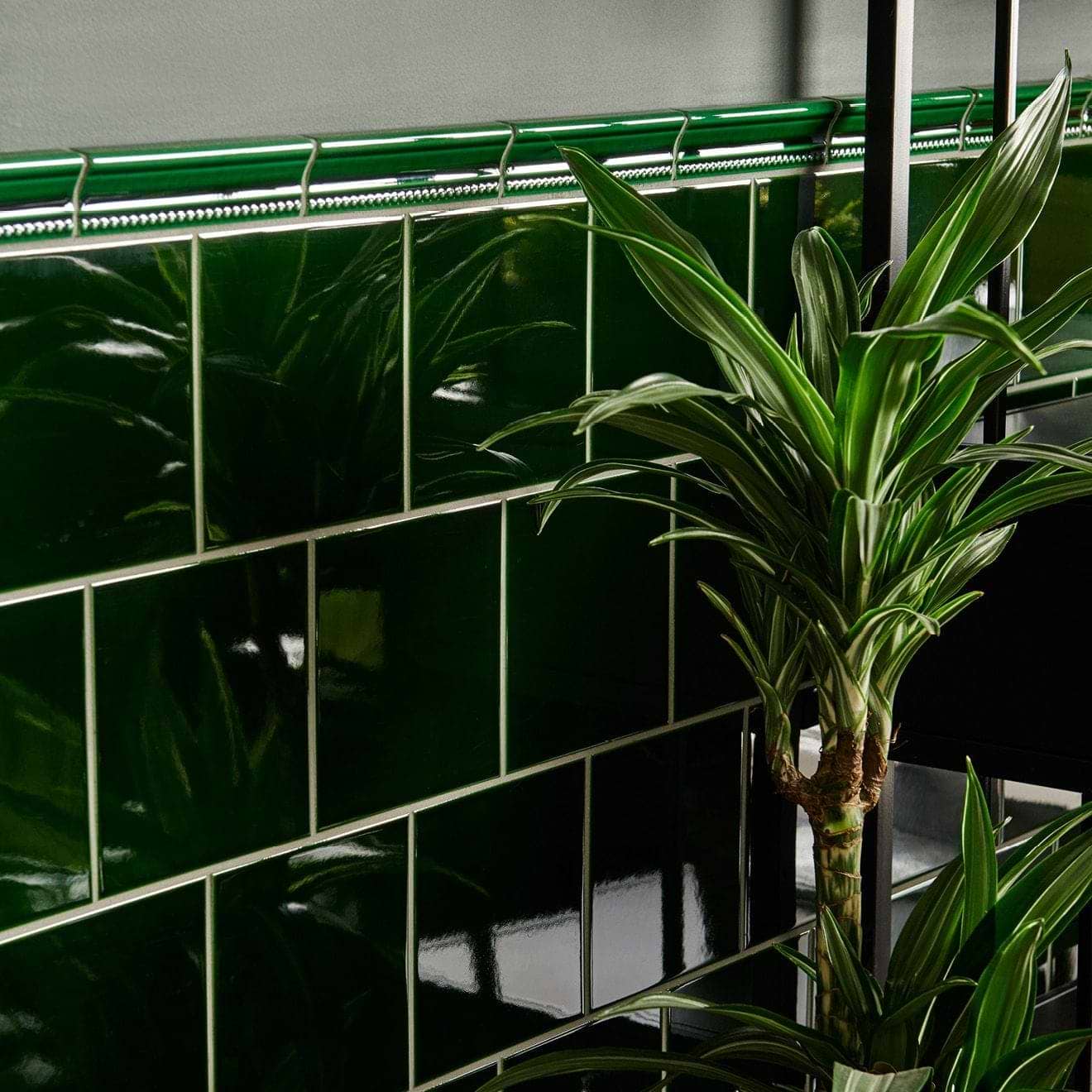 Victorian Green Hogarth Moulding - Hyperion Tiles